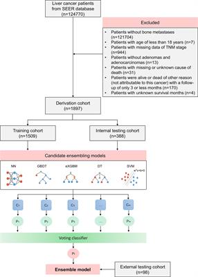 Development and validation of an ensemble machine-learning model for predicting early mortality among patients with bone metastases of hepatocellular carcinoma